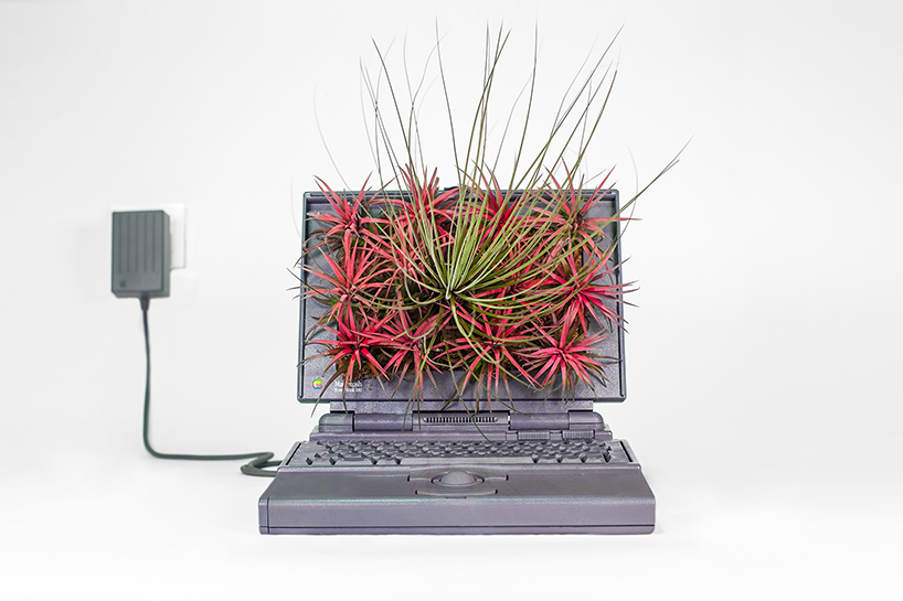 Mr.Plant, คอมพิวเตอร์แมคอินทอช, Apple