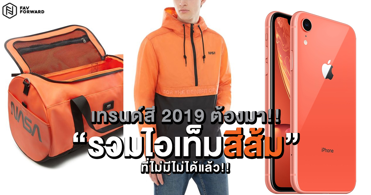 เทรนด์สี 2019